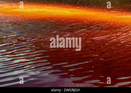 Les eaux riches de couleur rouille de Rio Tinto reflètent le paysage verdoyant des rives dans un cadre serein Banque D'Images