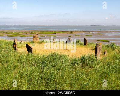 Cercle de pierres sur la digue de la rivière Westerschelde à Terneuzen, Zeeuws-Vlaanderen, Zeeland, pays-Bas Banque D'Images