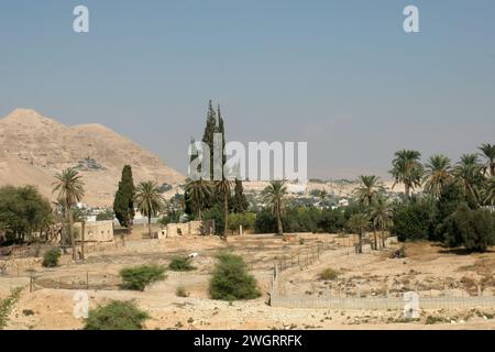 Vue de l'ancienne ville de Jéricho depuis l'ouest, vallée du Jourdain, Cisjordanie, Palestine, Israël Banque D'Images