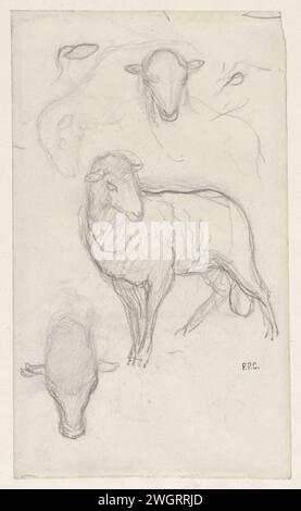 Etude d'un mouton et de trois têtes de mouton, Pierre Cécile Puvis de Chavannes, 1834 - 1898 papier à dessin. mouton craie Banque D'Images