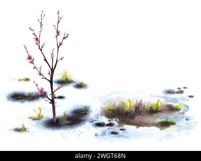 Fleurs de plantes primaires, floraison arbre de printemps de cerisier, sakura, abricot ou pêche sur fond de neige fondante. Paysage aquarelle dessiné à la main Banque D'Images