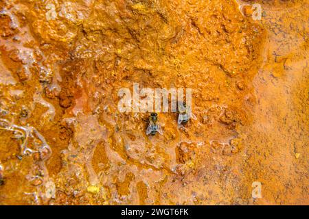 Les eaux rouges extraordinaires du Rio Tinto coulent le long de falaises rocheuses abruptes, mettant en valeur l'art unique de la nature. Banque D'Images