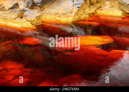 Les eaux rouges extraordinaires du Rio Tinto coulent le long de falaises rocheuses abruptes, mettant en valeur l'art unique de la nature. Banque D'Images