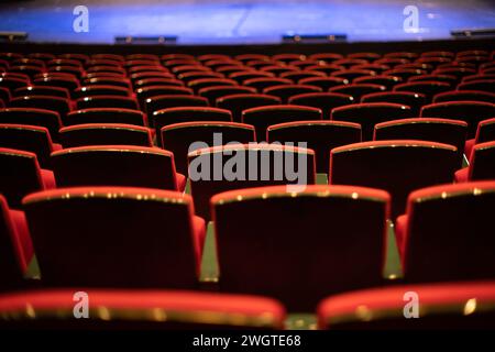 vue arrière des sièges vides en velours rouge dans la salle de cinéma Banque D'Images