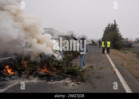 La Fondarella, Lleida, Espagne. 6 février 2024. Des centaines d'agriculteurs et d'éleveurs catalans bloquent l'accès à l'A-2 à la Fondarella, Lleida avec leurs tracteurs, rejoignant les manifestations au niveau européen dans le premier secteur. Les agriculteurs exigent la fin de la concurrence déloyale pour les produits importés de pays tiers, un soutien face aux prix excessifs dus aux effets de la sécheresse et une simplification de la bureaucratie. (Crédit image : © Marc Asensio Clupes/ZUMA Press Wire) USAGE ÉDITORIAL SEULEMENT! Non destiné à UN USAGE commercial ! Banque D'Images