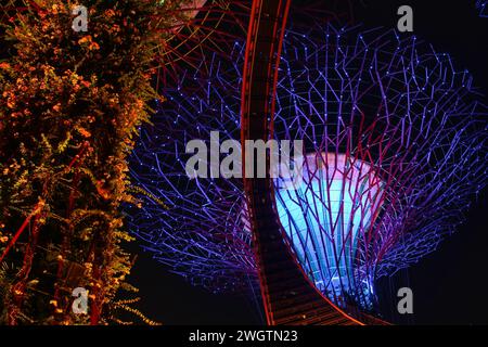 Une vue de bas en haut de la structure emblématique des supertrees dans les jardins près de la baie la nuit à Singapour Banque D'Images