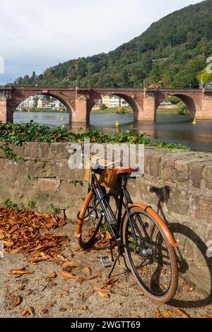 marcher le long de la longue rivière neckar Banque D'Images