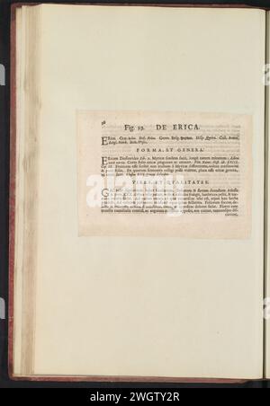 Fig. 29 'de Erica' dans l'Herbier Boodts de 1640, Anselmus Boëtius de Boodt, 1640 feuille de texte Beschrijving bij Fig. 29 op p. 56 dans : Anselm Boët de Boot I.C. Brugensis & Rodolphi 2. IMP. Roman. Médecins des chambres de fleurs, d'herbes et de fruits de sélecteur icônes, et la force des plus inconnus. Onderdeel van het album met Bladen en platen Shipped de Boodts Herbarium van 1640. Het twaalfde van twaalf albums met Aquarellen van dieren, vogels en planten bekend rond 1600, gemaakt in Opdracht van Keizer Rudolf 2. Papier usagé. impression typographique à encre Banque D'Images