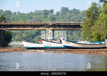 Agonda, Goa, Inde, pêcheur dans le bateau sur un lagon de la plage d'Agonda, éditorial seulement. Banque D'Images