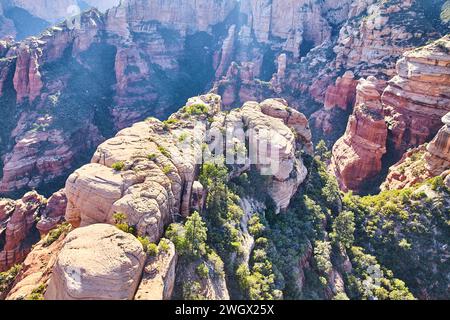 Vue aérienne du paysage du canyon de Sedona avec les formations Red Rock Banque D'Images