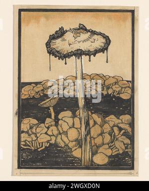 Champignon coulant, Julie de Graag, 1915 dessiner des champignons plus petits sur le sol. papier. encre. peinture de pont. crayon. craie / pinceau champignons Banque D'Images