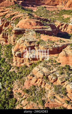 Vue aérienne des formations rocheuses rouges de Sedona et de la flore du désert Banque D'Images