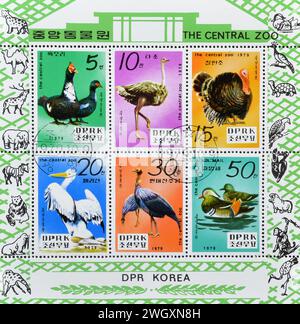 Bloc-feuillet avec timbres-poste oblitérés imprimés par la Corée du Nord, qui montrent des oiseaux du zoo central de Pyongyang, vers 1979. Banque D'Images