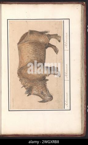 Rhinocéros indiens (licorne de rhinocéros), Anselm Boëtius de Boodt, d'après Albrecht Dürer, 1596 - 1610 dessin de rhinocéros indiens ou corne de nez blindée. Numéroté en haut à droite : 5. En haut à gauche le nom. Partie du deuxième album avec des dessins d'amis à quatre pattes. Deuxième de douze albums avec des dessins d'animaux, d'oiseaux et de plantes connus vers 1600, réalisé sur commande de l'empereur Rudolf Ier Avec explication en néerlandais, latin et français. Dessinateur : Praagafter print by : Germany paper. aquarelle (peinture). peinture de pont. brosse à crayon / stylo animaux sabotés : rhinocéros Banque D'Images