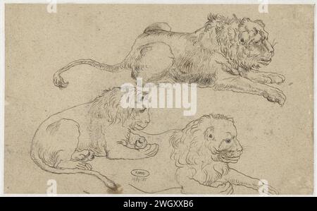 Feuille d'étude avec trois Lions, anonyme, d'après Jacques de Gheyn (III), d'après Jacques de Gheyn (II), d'après c. 1615 - avant c. 1634 dessin papier cartouche. encre. crayon Banque D'Images