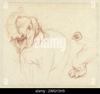 Croquis d'éléphant, jambe et tronc, Petrus Camper, 1732 - 1789 papier à dessin. animaux à troncs de craie : éléphant Banque D'Images