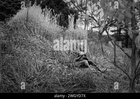 The Trustees DeCordova sculpture Park and Museum - Lincoln, ma. Sculpture d'Elliot Offner, figure de la mer, nichée dans une colline couverte d'herbe de mer Banque D'Images