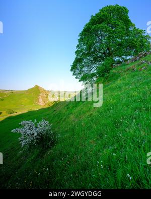 Buxton, Royaume-Uni - 4 juin 2023 : lumière du soir d'été au-dessus de Parkhouse Hill, Peak District National Park, Royaume-Uni Banque D'Images