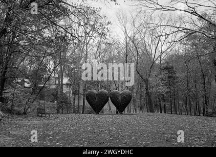 The Trustees DeCordova sculpture Park and Museum - Lincoln, ma. Deux grandes sculptures en bronze noir en forme de coeur de Jim Dine intitulées Two Big Black Hears Banque D'Images