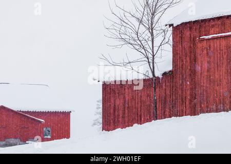 Grange amish en hiver dans le comté de Mecosta, Michigan, États-Unis [pas d'autorisation du propriétaire ; licence éditoriale uniquement] Banque D'Images