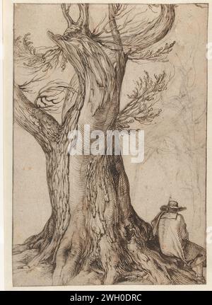 Etude d'un tronc d'arbre, Jacques de Gheyn (II), 1598 - 1608 dessin D'Un arbre à moitié dessiné, détaillé dans un arbre détaillé. Sur la droite, un homme est assis sur une grande carotte, le dos au spectateur. A droite un deuxième arbre légèrement dessiné à la craie noire. Verso, vu le même arbre de l'autre côté, également à la plume, avec des arbres différents tout autour à Krijt. papier cartouche. encre. craie : châtaignier-tree Banque D'Images