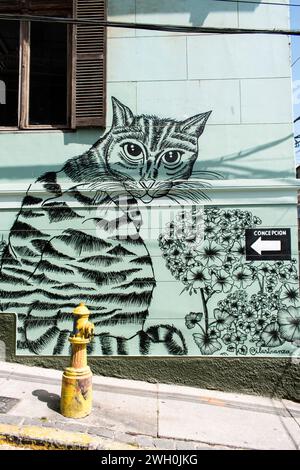 L'art graffiti dynamique définit le paysage urbain de Valparaiso au Chili. Banque D'Images