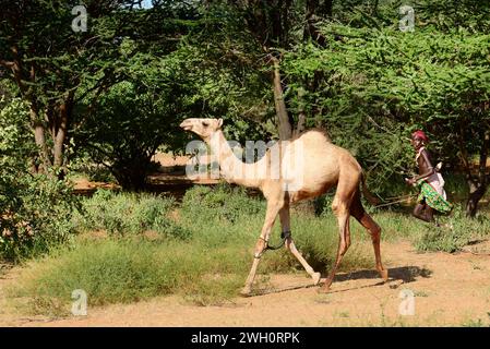 Un guerrier Samburu (moran) avec son chameau. Nord du Kenya. Banque D'Images