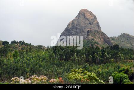 Conduite de Gondar à Humera dans le nord-ouest de l'Éthiopie. Banque D'Images