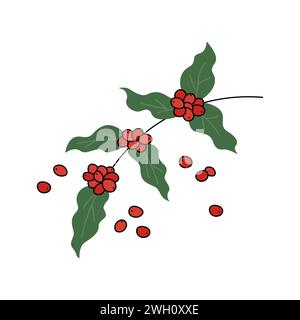 Illustration vectorielle de doodle de branche d'arbre de café. Elément isolé de plantes de baies de café naturelles. Objet dessiné à la main simple. Illustration de Vecteur
