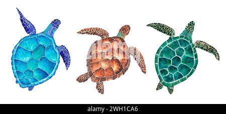 Ensemble de tortues de mer. Illustration aquarelle sur le fond blanc Banque D'Images