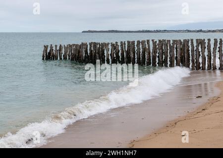 Troncs d'arbres sur la plage de Saint-Malo Bretagne, France à marée haute par une journée nuageuse en été France Banque D'Images