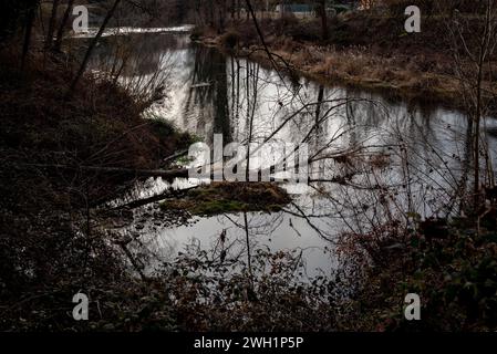 Le ter traverse Sant Quirze de Besora, province de Barcelone, nord de la Catalogne. Le ter est un fleuve catalan qui prend sa source dans les Pyrénées et se jette dans la mer Méditerranée, la production hydroélectrique et l'utilisation industrielle en sont les principales utilisations. La sécheresse dont souffre la Catalogne depuis 2021 a entraîné une diminution du débit et de la qualité écologique des rivières, ce qui a un impact négatif sur la biodiversité de la région, alors que les rejets dans la rivière des usines de traitement et des industries restent les mêmes, mais les polluants ne peuvent pas être dilués dans l'eau et le remai Banque D'Images