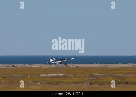 Un DeHaviland Beaver, propriété de Coyote Air sur une barre de gravier à côté de la mer de beaufort anwr alaska USA. Banque D'Images