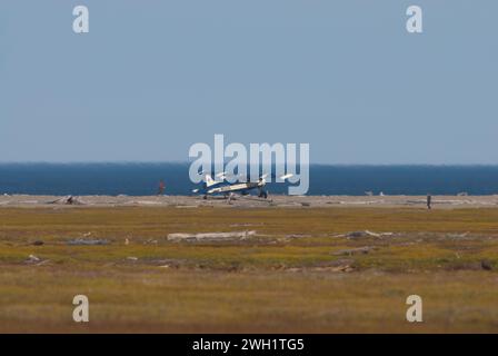 Un DeHaviland Beaver, propriété de Coyote Air sur une barre de gravier à côté de la mer de beaufort anwr alaska USA. Banque D'Images
