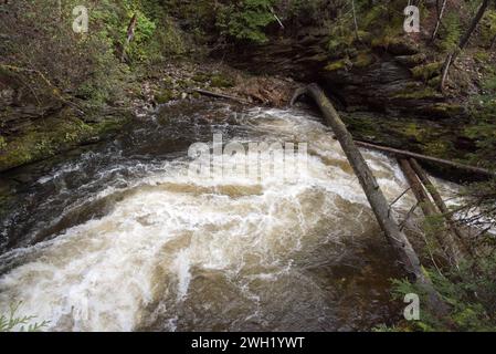 Le parc provincial Wells Gray est un grand parc sauvage situé à l'est du district régional de Cariboo en Colombie-Britannique au Canada. Banque D'Images