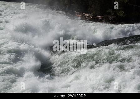 La chute de Bailay est un rapide bien connu le long de la rivière Clearwater, dans le parc provincial Wells Gray, à l'est du district régional Cariboo, en Colombie-Britannique Banque D'Images