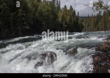 La chute de Bailay est un rapide bien connu le long de la rivière Clearwater, dans le parc provincial Wells Gray, à l'est du district régional Cariboo, en Colombie-Britannique Banque D'Images