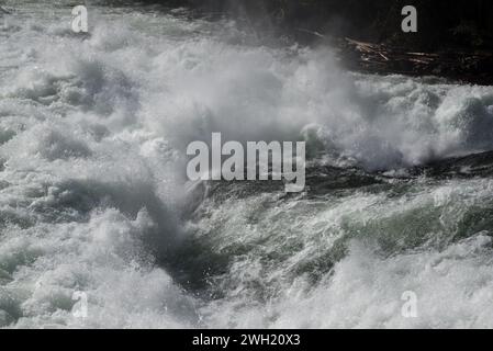 La chute de Bailay est un rapide bien connu le long de la rivière Clearwater, dans le parc provincial Wells Gray, à l'est du district régional Cariboo, en Colombie-Britannique Banque D'Images