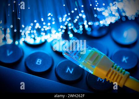 Concept d'Internet à fibre optique haute vitesse. Connexion Internet haut débit par câble Banque D'Images