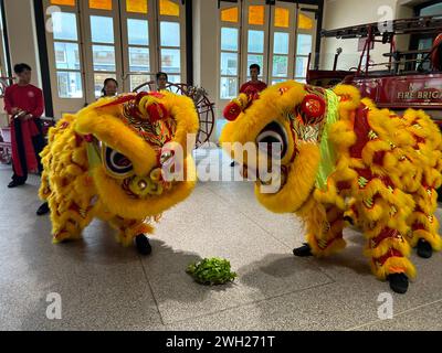 (240207) -- SYDNEY, 7 février 2024 (Xinhua) -- Une équipe locale de danse du lion se produit pour célébrer le nouvel an chinois à la caserne de pompiers de la ville de Sydney, en Australie, le 7 février 2024. L’autorité des pompiers et des secours de l’État australien de Nouvelle-Galles du Sud a organisé mercredi une cérémonie spéciale de danse du lion chinois à Sydney pour accueillir l’année prochaine de Dragon et marquer le 140e anniversaire de son service. POUR ALLER AVEC « les pompiers australiens célèbrent le nouvel an chinois avec la danse du lion » (Fire and Rescue New South Wales/document via Xinhua) Banque D'Images