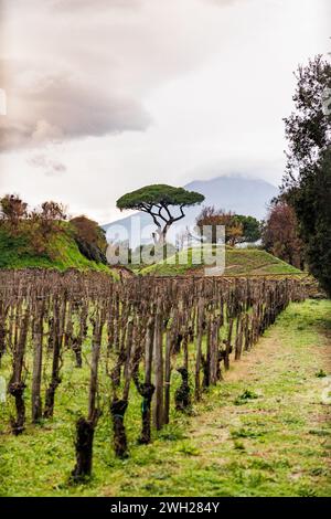 Visite de la ville de Pompéi qui a été couverte de cendres volcaniques après l'éruption du Vésuve, lieux touristiques en Italie. Banque D'Images