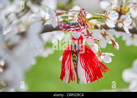 Décor printanier traditionnel bulgare Martenitsa sur le cerisier en fleurs. Baba Marta vacances. Banque D'Images