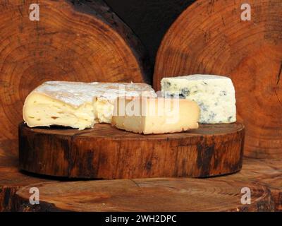 Les fromages artisanaux de la Serra da Canastra, située dans l'État du Minas Gerais, Brésil. Banque D'Images