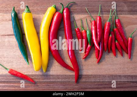 Petits piments rouges et grands piments verts, jaunes et rouges disposés sur une planche à collations. Vue de dessus. Banque D'Images