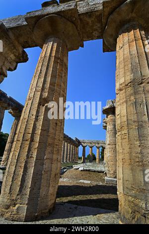 Temple grec de style dorique de Neptune Paestum est une ancienne ville grecque sur la côte de la mer Tyrrhénienne, Magna Graecia. Ruines de trois temples grecs Doric 550 à 450 av. J.-C. Paestum est une ville antique dans le sud de l'Italie. Paestum est connu pour ses temples grecs magnifiquement conservés. Roman, Italie, Italien Banque D'Images