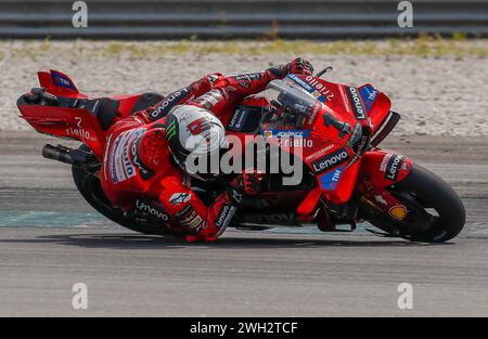 Kuala Lumpur, Malaisie. 07 février 2024. Le pilote italien Francesco Bagnaia de l'équipe Ducati Lenovo en action lors des essais officiels du MotoGP de Sepang sur le circuit international de Sepang. Crédit : SOPA images Limited/Alamy Live News Banque D'Images