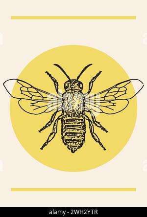 Affiche d'illustration vectorielle vintage à l'encre d'abeille de miel. Croquis d'insecte isolé dessiné à la main. Illustrations de style de gravure. Idéal pour logo, emballage Illustration de Vecteur