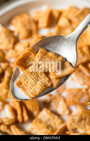 Pain grillé à la cannelle brune sain céréales pour petit déjeuner avec lait entier Banque D'Images