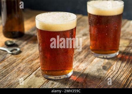 Bière artisanale Bozy Cold Dark Amber dans un verre de pinte Banque D'Images