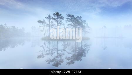 Petite île avec des pins écossais dans la brume matinale reflétée dans l'étang à Knuthöjdsmossen, réserve naturelle près de Hällefors à Västmanland, Suède Banque D'Images